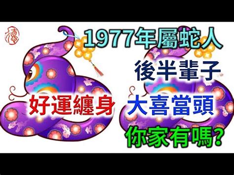 1977年屬什麼生肖|關於1977年「生肖屬蛇人」，這一生命運如何？